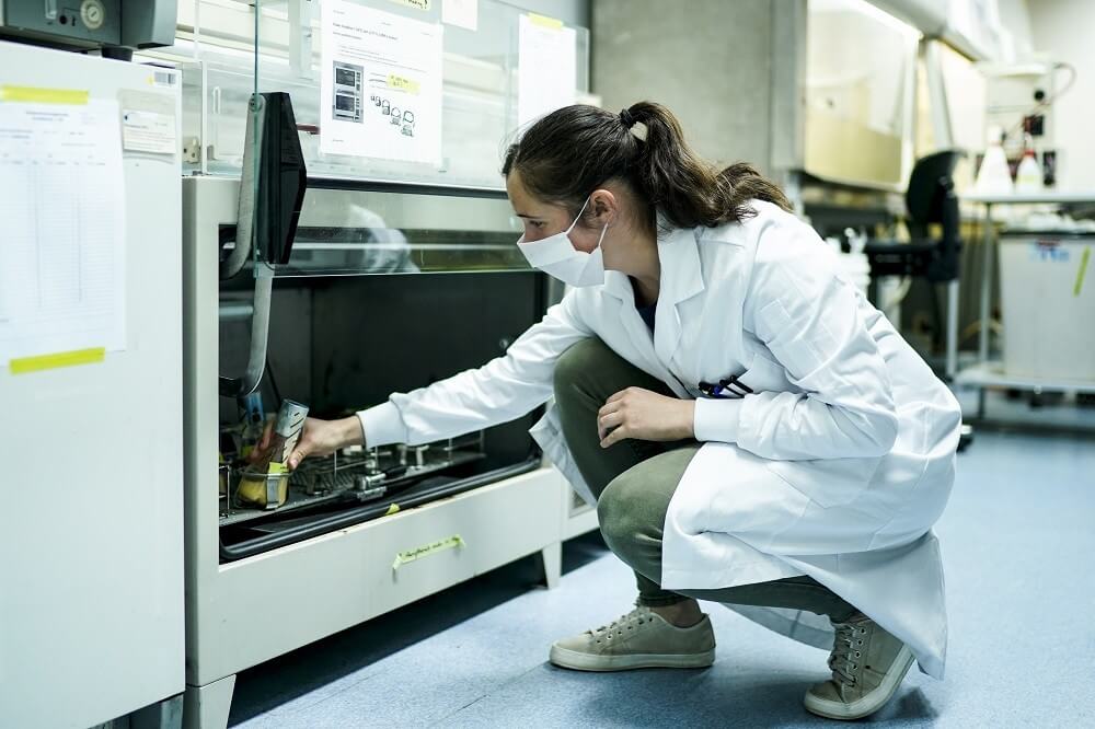 stem careers