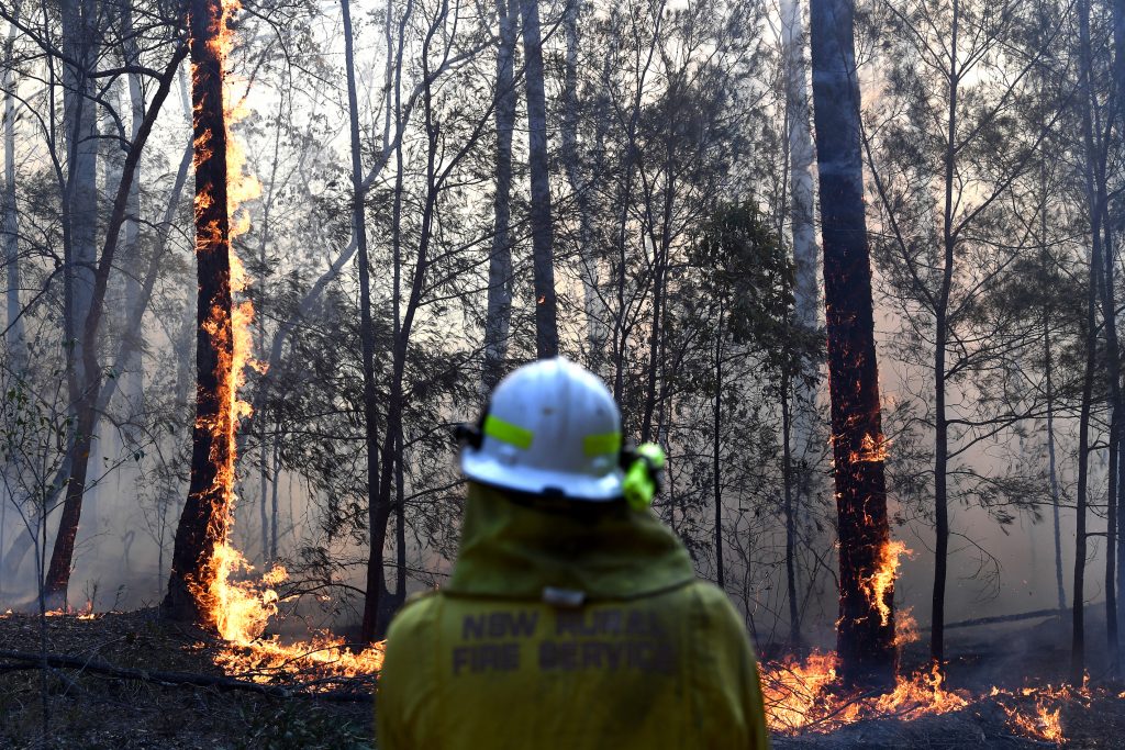 bushfire crisis